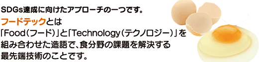 SDGsBɌAv[`̈łBt[hebNƂ́uFood(t[h)vƁuTechnology(eNmW[)vgݍ킹ŁAH̉ۑŐ[Zp̂ƂłB