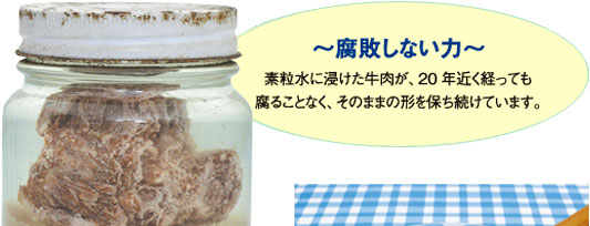 �`���s���Ȃ��́`�f�����ɐZ�����������A20�N�߂��o���Ă����邱�ƂȂ��A���̂܂܂̌`��ۂ������Ă��܂��B