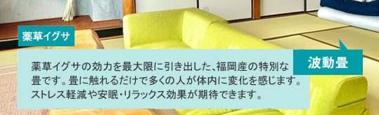 �g����F�򑐃C�O�T�̌��͂��ő���Ɉ����o�����A�����Y�̓��ʂȏ�ł��B��ɐG��邾���ő����̐l���̓��ɕω��������܂��B�X�g���X�y��������E�����b�N�X���ʂ����҂ł��܂��B