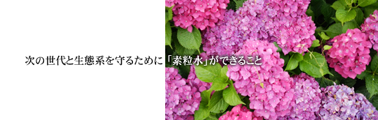 ̐ƐԌn邽߂Ɂufvł邱